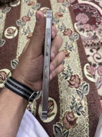 iPhone 12 Pro Max non pta 256gb