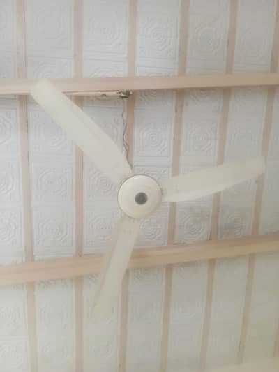 Royal ceiling fan for sale in good condition