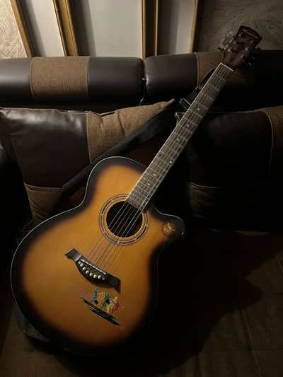 Professional acoustic guitar