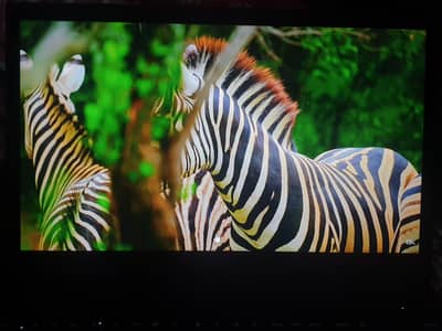 Lenovo ThinkPad  E595.