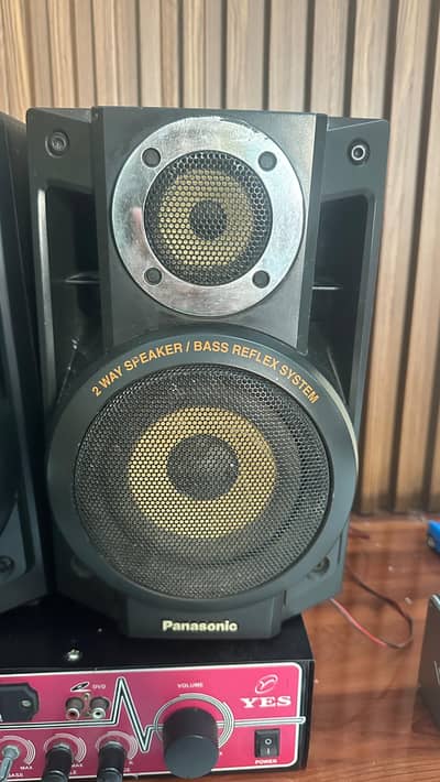 Original Panasonic Speakers