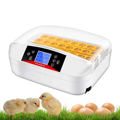 Incubator