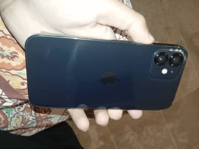 iPhone 12 non PTA 64gb