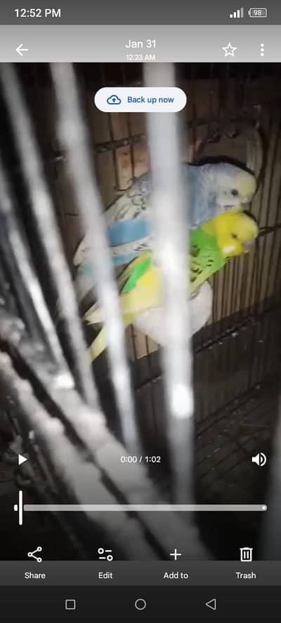 cage box ka sate 1200 breader pir 1500