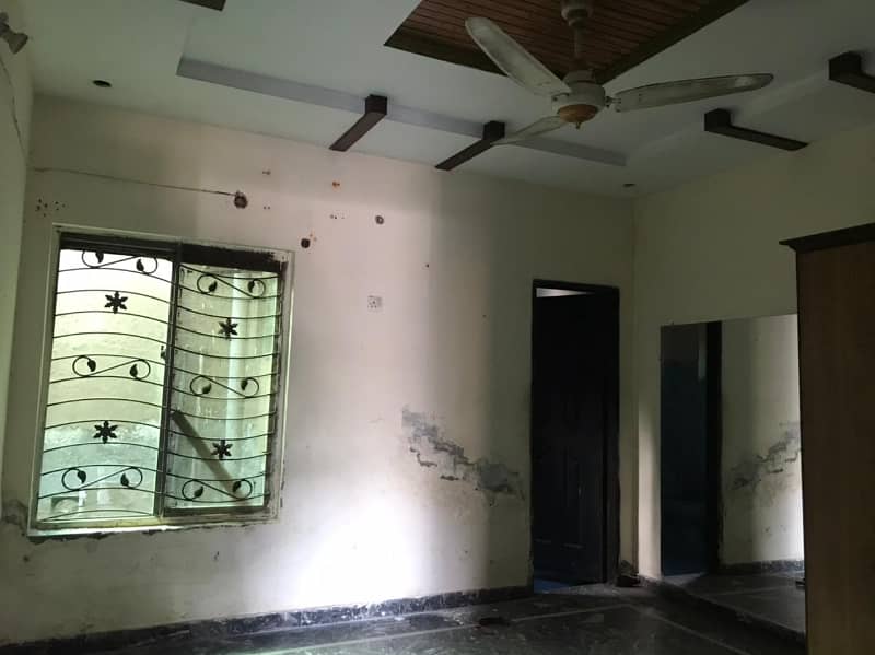 LOWER Portion Available 2