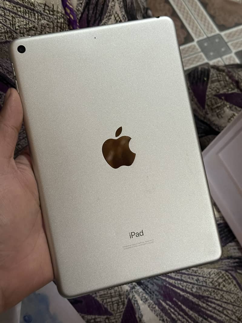 iPad mini five 1