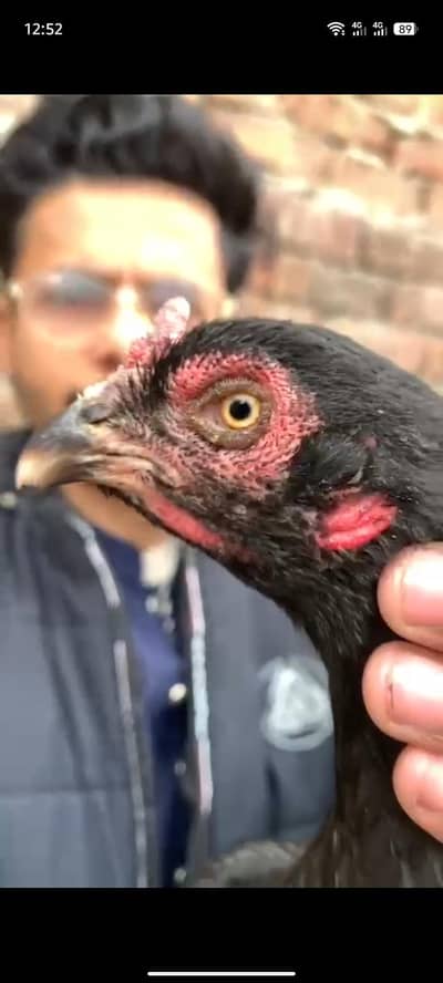 Adnan Aseel 03076748257 with tpni