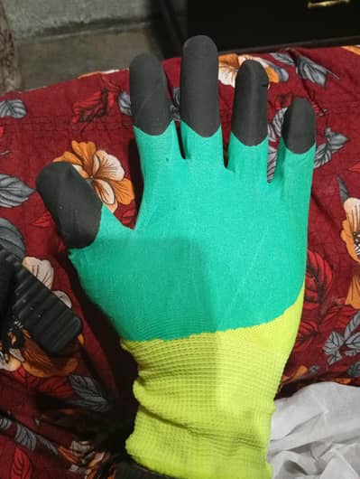 kait gloves