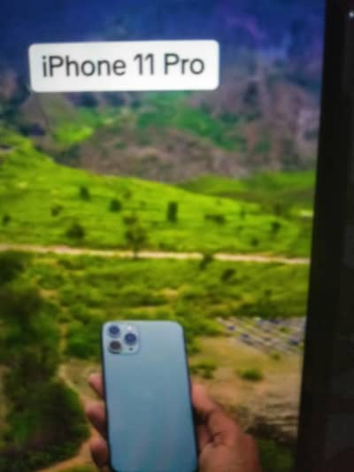 i need iphone 11pro only panal