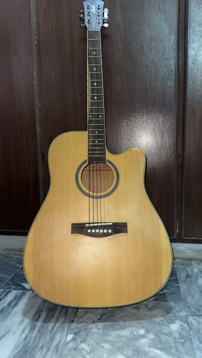 Professional Acoustic Guitar