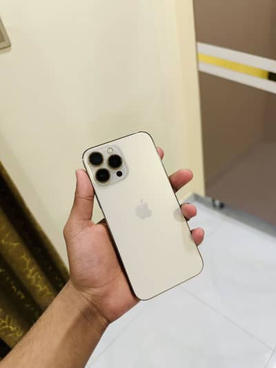 13 PRO MAX 256GB PTA APPROVED