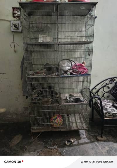 Cages for Parrot
