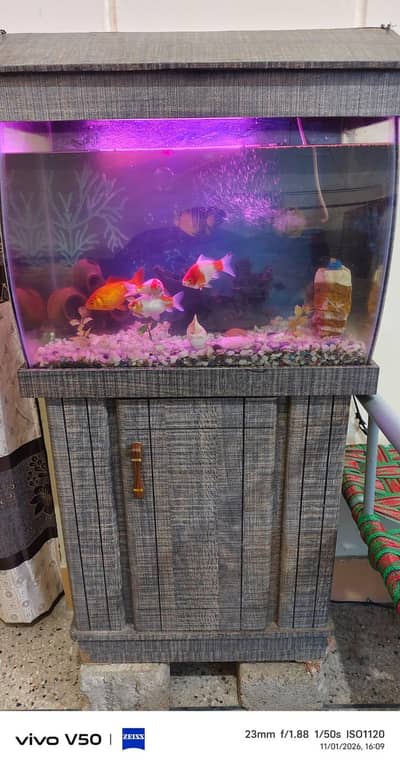 Fish Aquarium in good condition