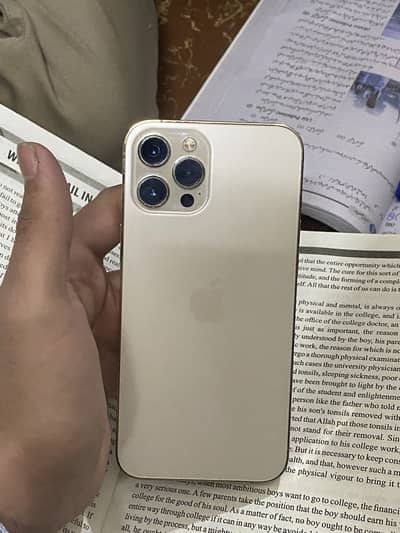 12 PRO MAX DUAL PTA APPROVED