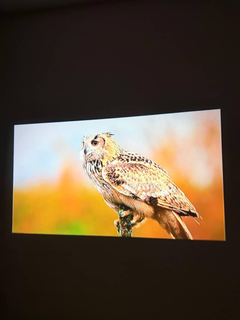 Portable Mini Projector 6