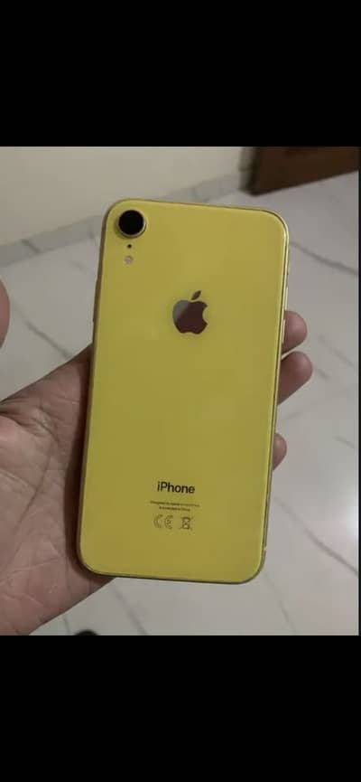 iPhone XR