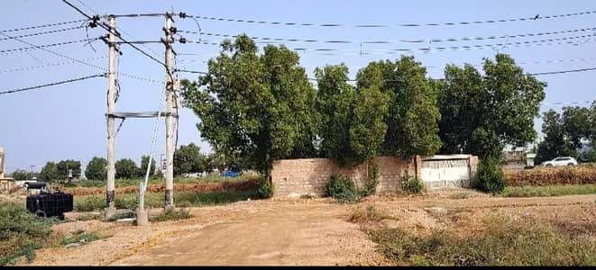 114 Square Yard Plot Available For Sale