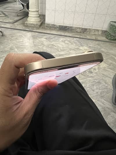 iPhone 16promax 256 GB