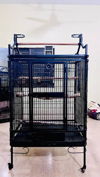 Cockatoo, Grey parrot, Macow cage for sell