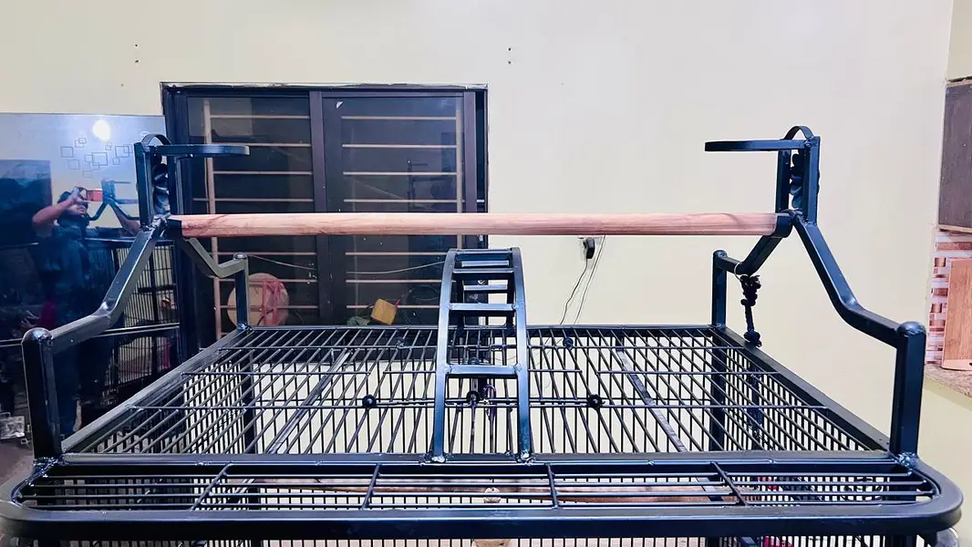 Cockatoo, Grey parrot, Macow cage for sell — photo 3