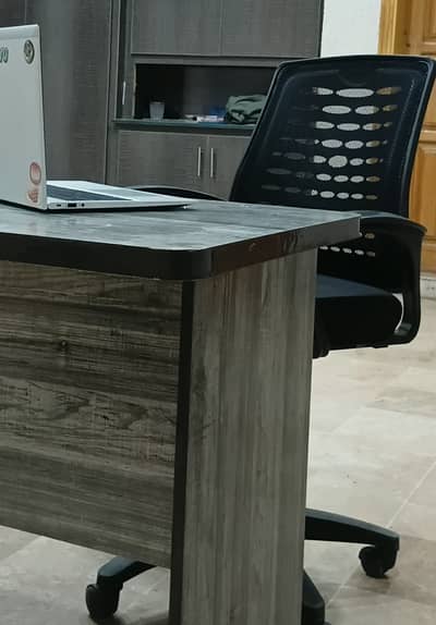 Study and office chair