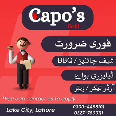 BBQ Chef - Senior Chef - Order Taker - Delivery Boy