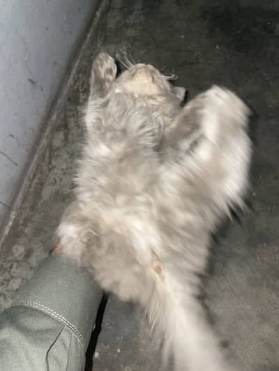 Age mujh nhi pat kitni hi Iski