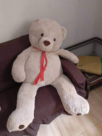  6 Feet Giant Teddy Bear – Almost New, Super Soft & Cute 
