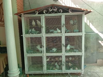 Parrot Cage 6-7 Feet