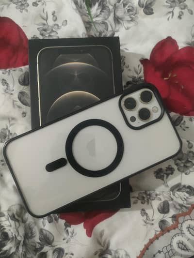 Iphone 12 pro max PTA approved