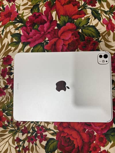 Ipad pro m5 11 inch 256 gb