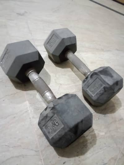 8 kg Rubber dumbbells