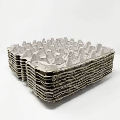Disposable Eggs Crates
