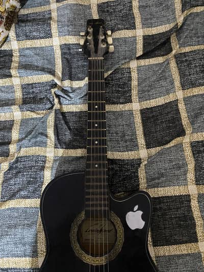 Guitar best for beggners