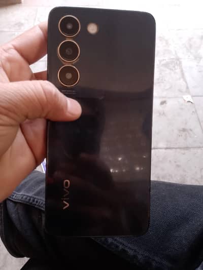 vivo y100