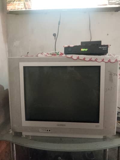 Muhammad asif 03196758119