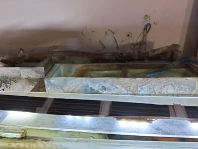 URGENT Aquarium with fishes whole setup for sale