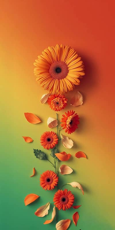 Suzuki mehran vxr 2006 neat and clean