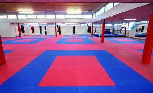 Gym flooring-Grass carpet-Outdoor ground grass-Astro turf-Cricket net