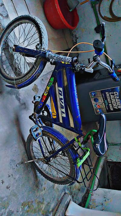 Ovalbrand,2025model,22inch