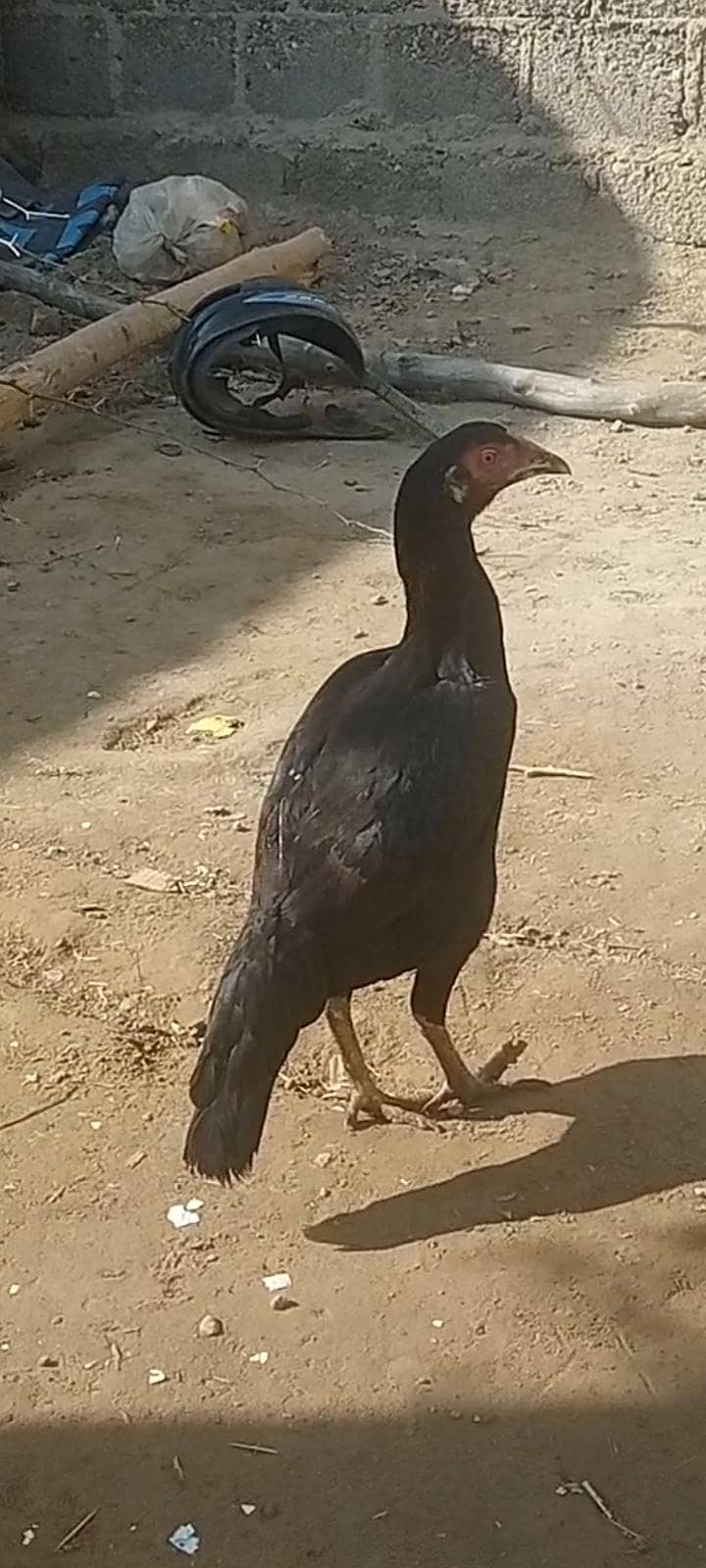 میاں والی پٹی 1