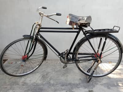 Bicycle 22 inch