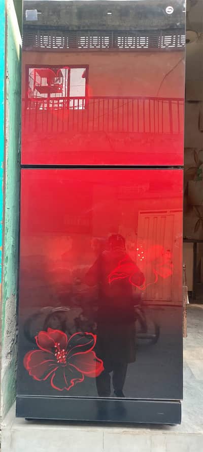 PEL COMPNAY Inverter