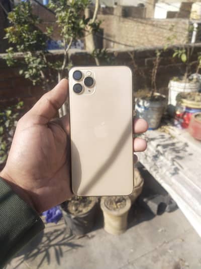 iphone 11 pro max apple iphone 11promax  64GB Golden