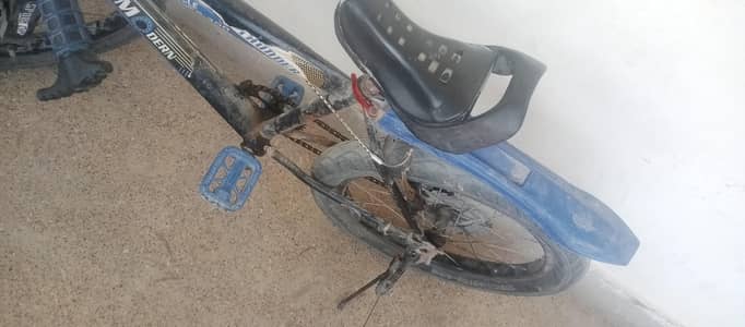 Bicycle with Big tyre