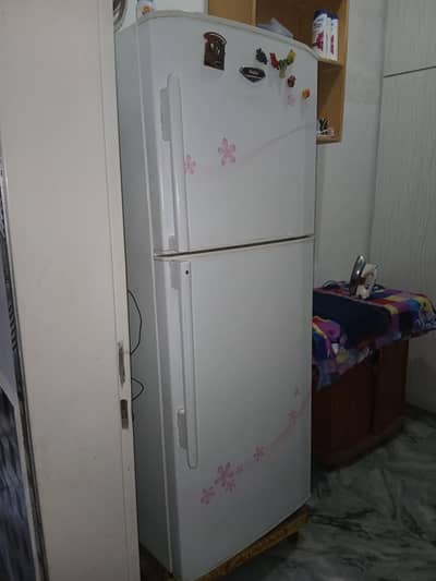 Hair Refrigerator 13 cubic feet HRF 380M