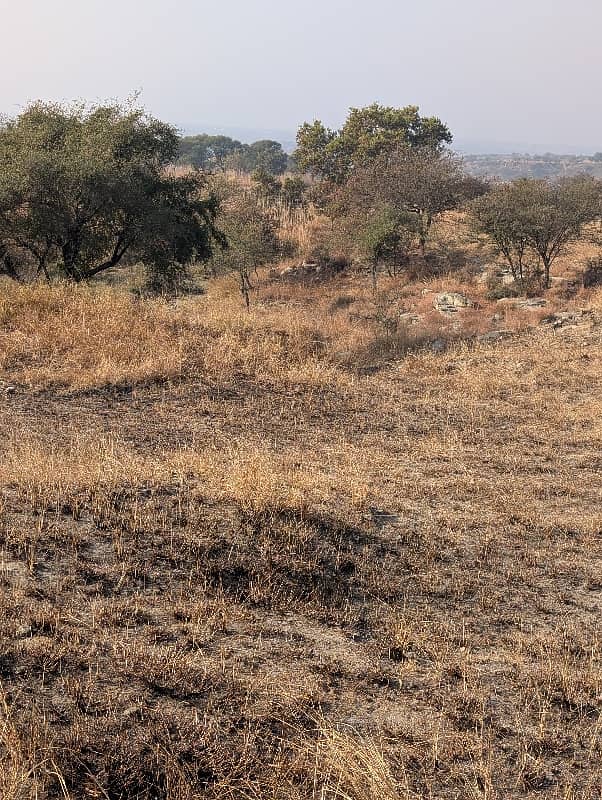 106 کنال رقبہ برائے فروخت بلکسر چکوال 1