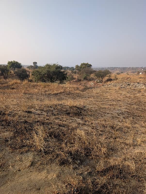 106 کنال رقبہ برائے فروخت بلکسر چکوال 2