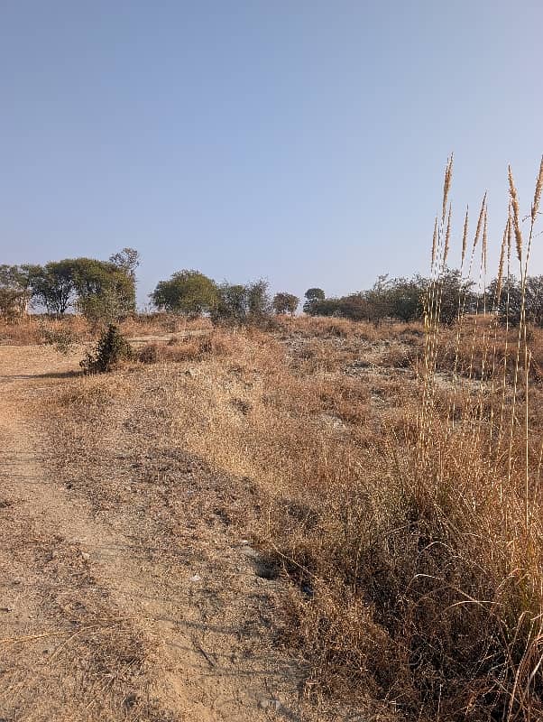 106 کنال رقبہ برائے فروخت بلکسر چکوال 3