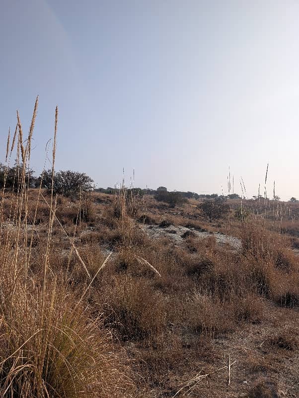 106 کنال رقبہ برائے فروخت بلکسر چکوال 4